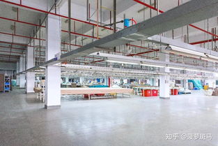 買什么樣的枕頭對頸椎最好 品牌與健康管理的雙重考量